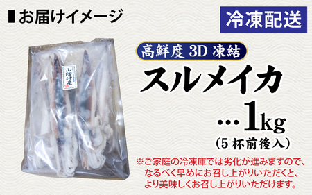兵庫県産 とれたて スルメイカ 冷凍 約1kg 5杯前後