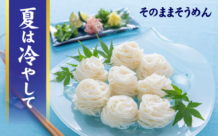 手延 そうめん 揖保乃糸 特級品 50g × 12束（600g） 素麺