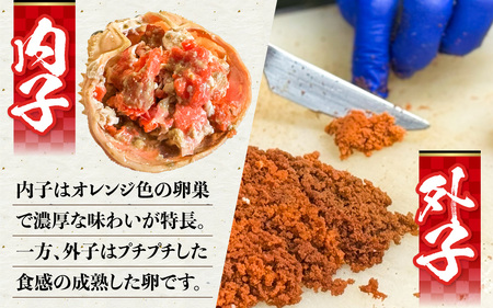 セコガニ 甲羅盛り 2個 / 釜茹で むき身 かにみそ カニ味噌 蟹 カニ ほぐし身 ズワイガニ セイコガニ 松葉ガニ せいこがに かに 個包装 兵庫県産 兵庫県 浜坂産 水揚げ かに解禁 おつまみ 送料無料