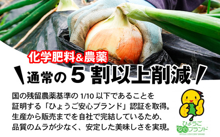 淡路島 新玉ねぎ 3kg 訳あり サイズ不揃い 簡易箱でお届け / 新玉ねぎ