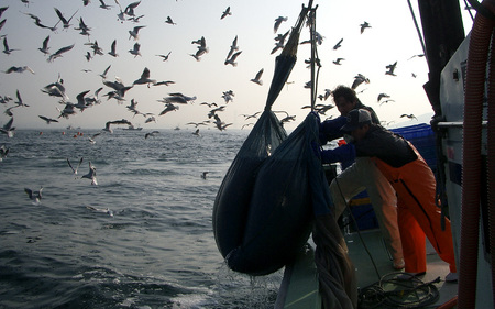 生炊きちりめん山椒 200g×1袋