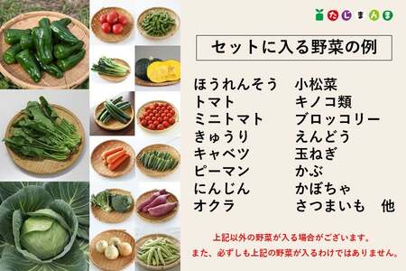 たじまの野菜レスキューおすすめBOX（11品以上）