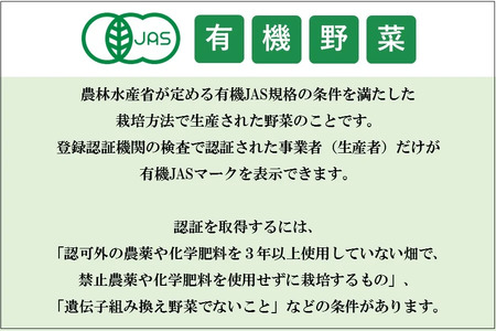 有機JAS野菜セット（8種類）