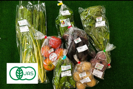 有機JAS野菜セット（8種類）