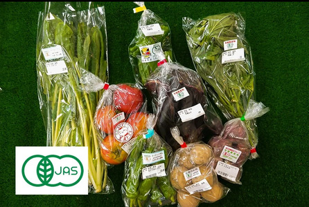 有機JAS野菜セット（8種類） 【 野菜 セット 詰合せ 旬のお野菜 新鮮 安全 オーガニック 出荷農家により異なる味 お楽しみ 】