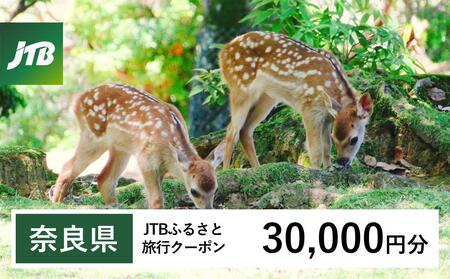 【奈良県】JTBふるさと旅行クーポン（30,000円分）有効期間3年（Eメール発行）｜予約 宿泊 観光 体験  温泉 ホテル 旅館 チケット 子供 子連れ カップル 家族 店頭 オンライン ネット 電話 奈良