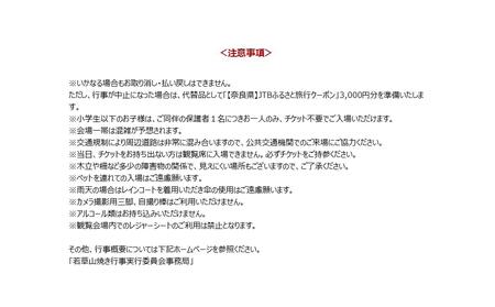 【期間延長・１名様分】若草山焼き行事 奈良公園バスターミナル屋上 特別観覧券（１名分）