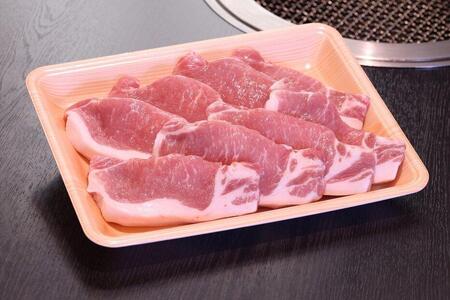 ヤマトポーク とんかつ用 500g