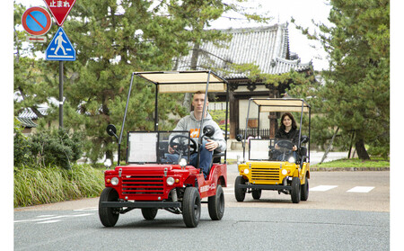 バギーで世界文化遺産巡りツアー 体験チケット