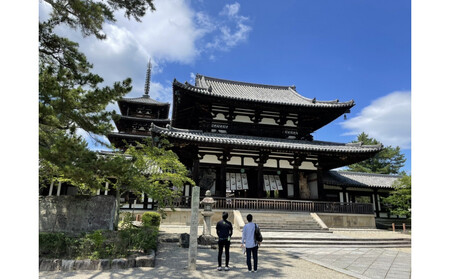 バギーで世界文化遺産巡りツアー 体験チケット