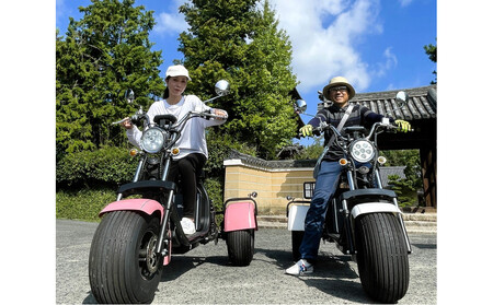 EV3輪バイク「トライク」三塔めぐりツアー 体験チケット