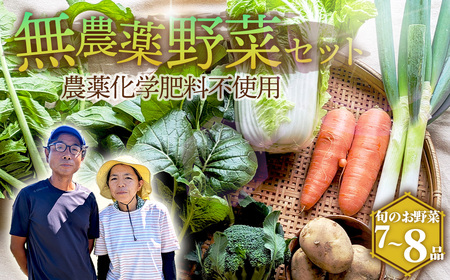 栽培期間中農薬化学肥料不使用 旬のココニコ無農薬野菜セット 7~8品 / 野菜 やさい 新鮮 旬 採れたて おいしい 産地直送 産直 露地栽培 こだわり 定番野菜 伝統野菜 めずらしい野菜 フレッシュ 愛知県 No.272