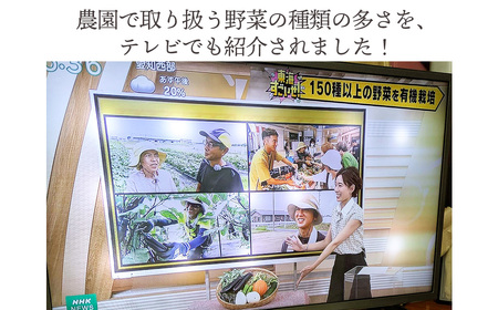 栽培期間中農薬化学肥料不使用 旬のココニコ無農薬野菜セット 7~8品 / 野菜 やさい 新鮮 旬 採れたて おいしい 産地直送 産直 露地栽培 こだわり 定番野菜 伝統野菜 めずらしい野菜 フレッシュ 愛知県 No.272
