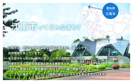 こうなん名フィルコンサート2026　3月28日公演 チケット 1枚 ／ クラシック コンサート チケット オーケストラ 生演奏 名フィル 協奏曲 ピアノ チェロ 演奏会 音楽鑑賞 春公演 週末 お出かけ 文化体験 愛知県 No.310