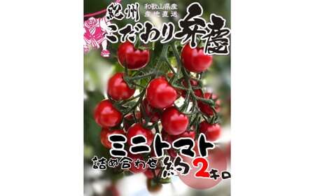 M010　こだわりミニトマト詰め合わせ