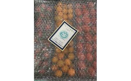 M010　こだわりミニトマト詰め合わせ