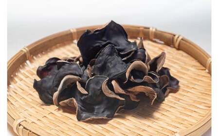 M012 「夢のきくらげ」白いきくらげ・あらげきくらげセット1