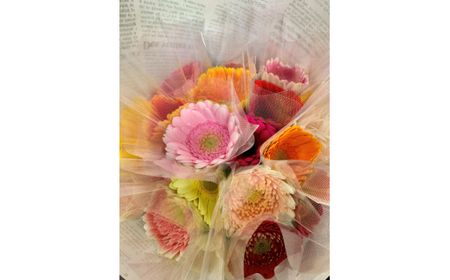 M014　元気なガーベラ２０本セット