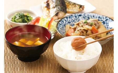 M043　紀州南高梅　梅満開１５粒入り