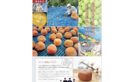 M061　紀州南高梅（白干梅）１ｋｇ入