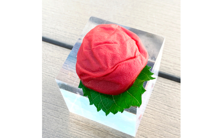 M062 moro moloプレミアセット A