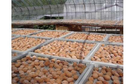 M065 紀州南高梅「花」塩分約6%