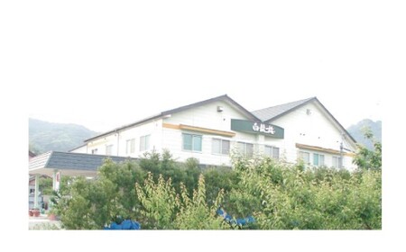 M070 紀州完熟南高梅 あっさり白龍