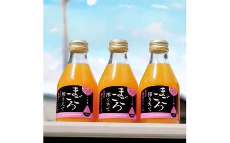 M081　まごころ搾りたて有田産清見ジュース１８０ｍｌ　１２本入