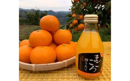 M082 まごころ搾りたて有田産みかんジュース180ml 12本入