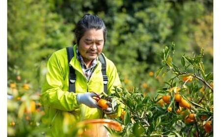 M089　プレミアムみかんジュ−ス