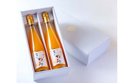 M093　きわみみかんジュース５００ｍｌ×２本入りギフト