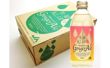 M097 生姜丸しぼりわかやまジンジャーエール