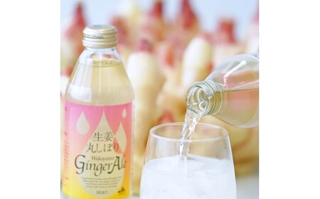 M097 生姜丸しぼりわかやまジンジャーエール