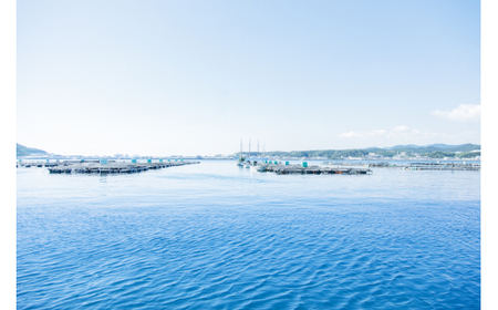 M138 紀州梅まだい1尾(鮮魚)