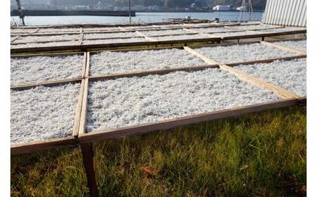 M140　特撰上干ちりめん　５００ｇ