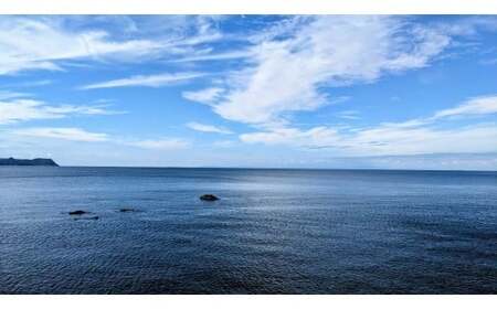 M144 【冷蔵】釜揚げしらす 紀州湯浅 まるとも海産