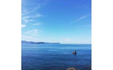 M145　【冷凍】釜揚げしらす　紀州湯浅　まるとも海産　