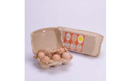 M170 龍神コッコの小さなたまご10個入り×3パック