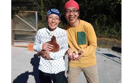 M170 龍神コッコの小さなたまご10個入り×3パック