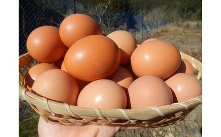 M170 龍神コッコの小さなたまご10個入り×3パック