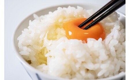 M171　紀州うめたまご３０玉