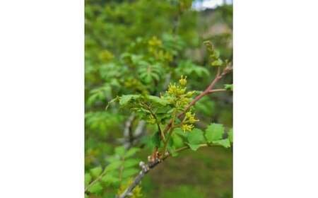 M186　ぶどう山椒調味料　特選セット