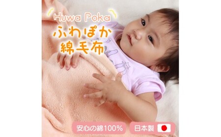 M227　七色　シール織　ハーフケット　オレンジ