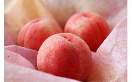 M241　【名産】『あら川の桃』７～８個入