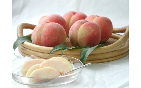 M242　あら川の桃（白鳳、清水白桃、川中島）品種お任せ