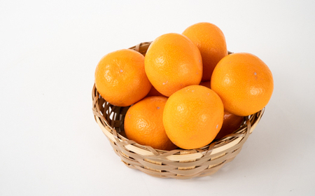 M251 超熟屋根掛けみかん 赤特選5㎏