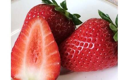 M252　まりひめプレミアム「毬姫様」