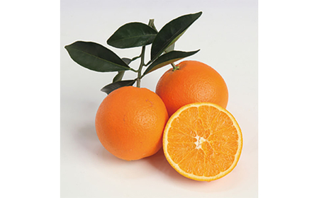 M253　樹上熟成ネーブル　５ｋｇ