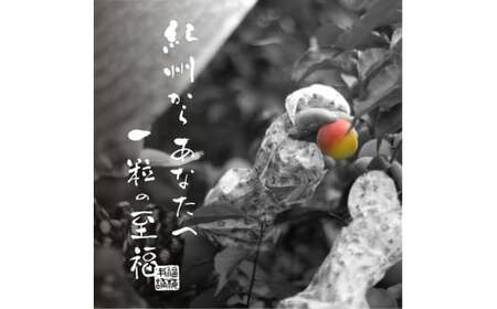 M268 梅の鏡2段(まろやか梅・かつお梅)