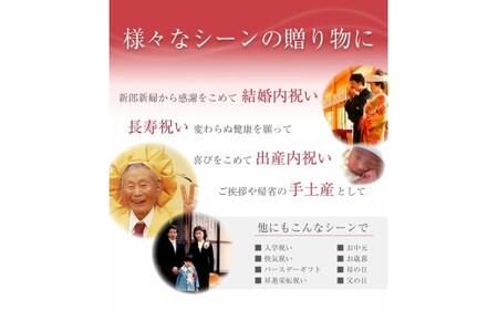 M268 梅の鏡2段(まろやか梅・かつお梅)